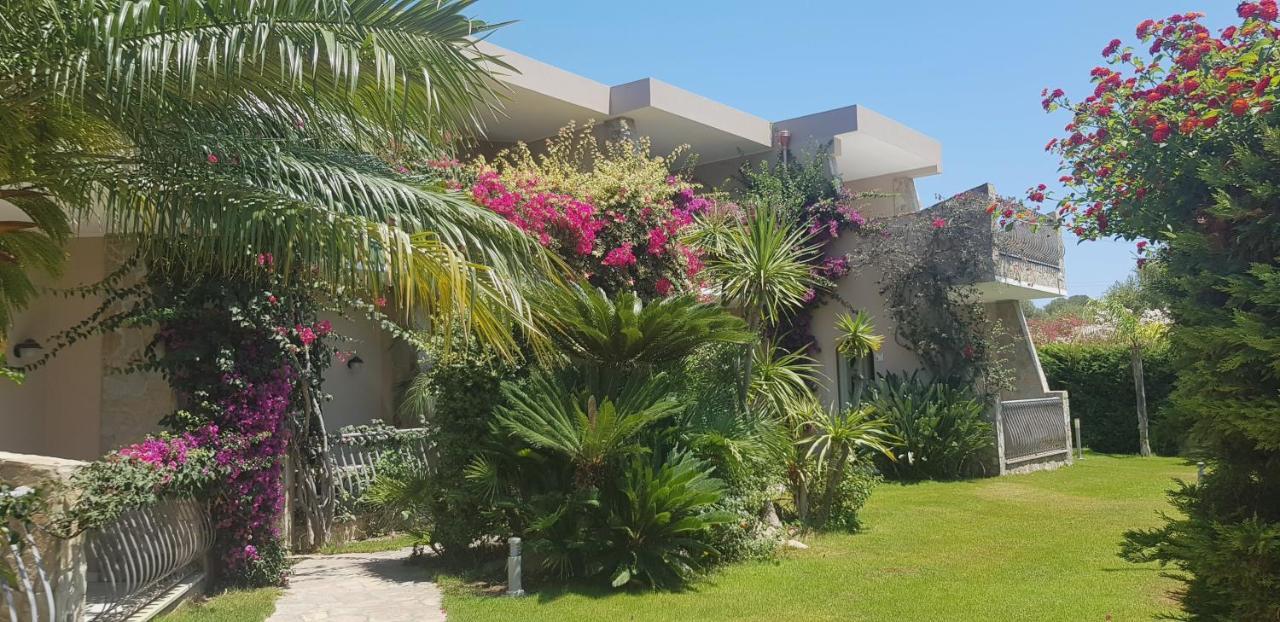 Palm Village Виласимиус Екстериор снимка