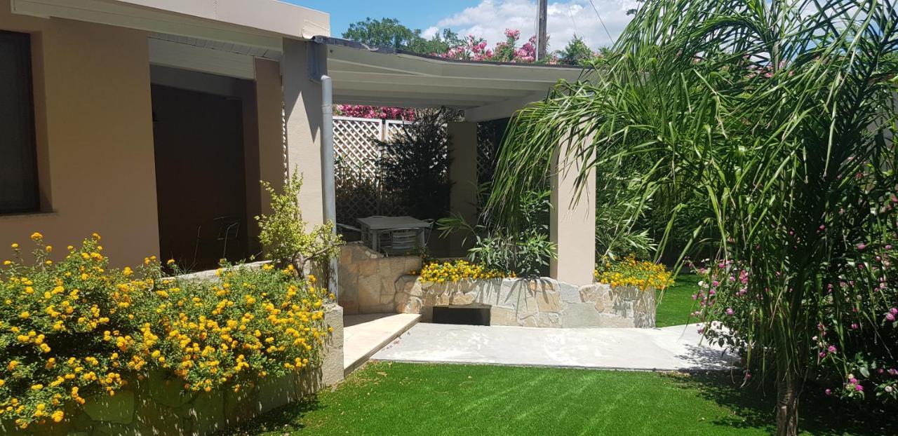 Palm Village Виласимиус Екстериор снимка
