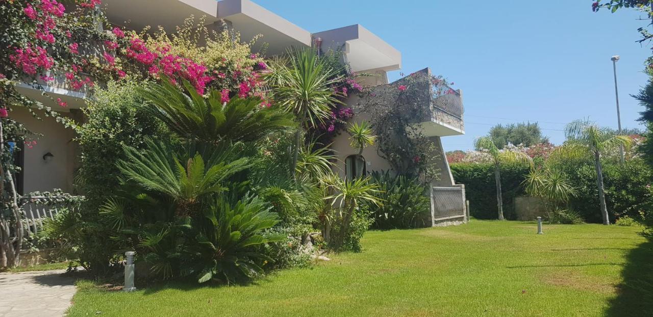 Palm Village Виласимиус Екстериор снимка
